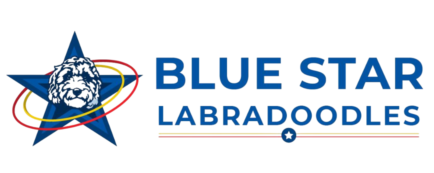 Blue Star Labradoodles